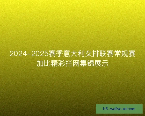 2024-2025赛季意大利女排联赛常规赛加比精彩拦网集锦展示 2024-2025赛季意大利女排联赛常规赛加比精彩拦网集锦展示